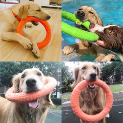 🐶 EVA Dog Pull Ring – Durable, Safe & Build for Active Play