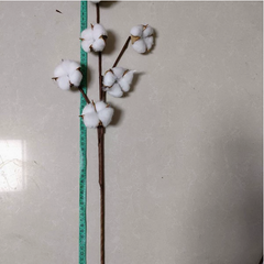 Artificial Cotton Stem for Decor