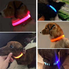 🐕 Light-Up LED Dog Collar – Adjustable, Waterproof, Safe for Night Walks