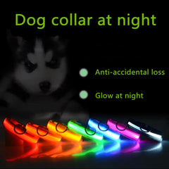 🐕 Light-Up LED Dog Collar – Adjustable, Waterproof, Safe for Night Walks