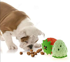 Dog Chew Toy - Bite-Resistant Treat-Dispensing Strawberry