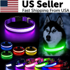 🐕 Light-Up LED Dog Collar – Adjustable, Waterproof, Safe for Night Walks