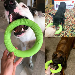 🐶 EVA Dog Pull Ring – Durable, Safe & Build for Active Play