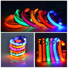 🐕 Light-Up LED Dog Collar – Adjustable, Waterproof, Safe for Night Walks