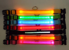 🐕 Light-Up LED Dog Collar – Adjustable, Waterproof, Safe for Night Walks