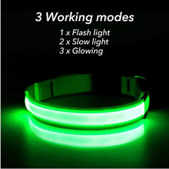 🐕 Light-Up LED Dog Collar – Adjustable, Waterproof, Safe for Night Walks