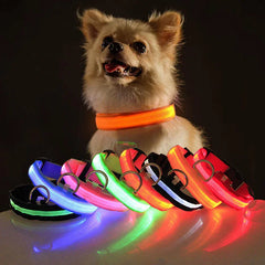 🐕 Light-Up LED Dog Collar – Adjustable, Waterproof, Safe for Night Walks